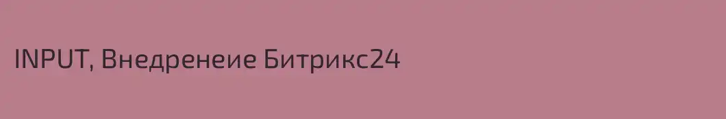 INPUT, Внедренеие Битрикс24